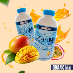 CLEAN ME DETOX MANGO...
