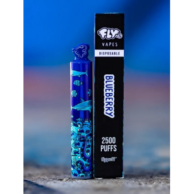 VAPORIZADOR 2500 BLUEBERRY-FLY IS