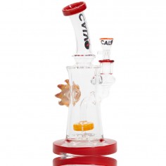 RIG EYE SUN ORANGE-CALVO