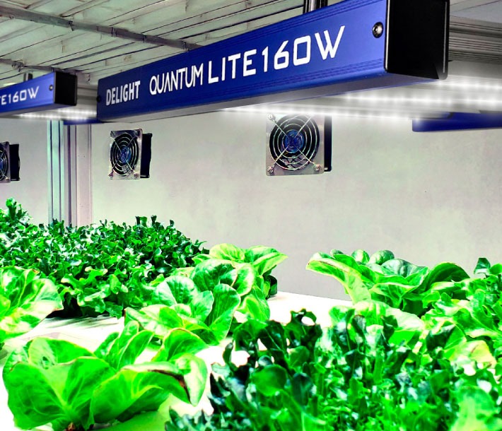 Professional grower with plants