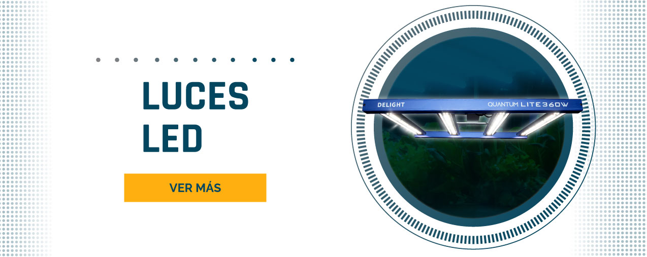 Delight LED Solutions